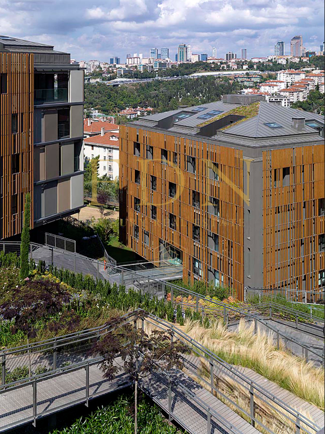 Ekran görüntüsü 2023-03-11 145612