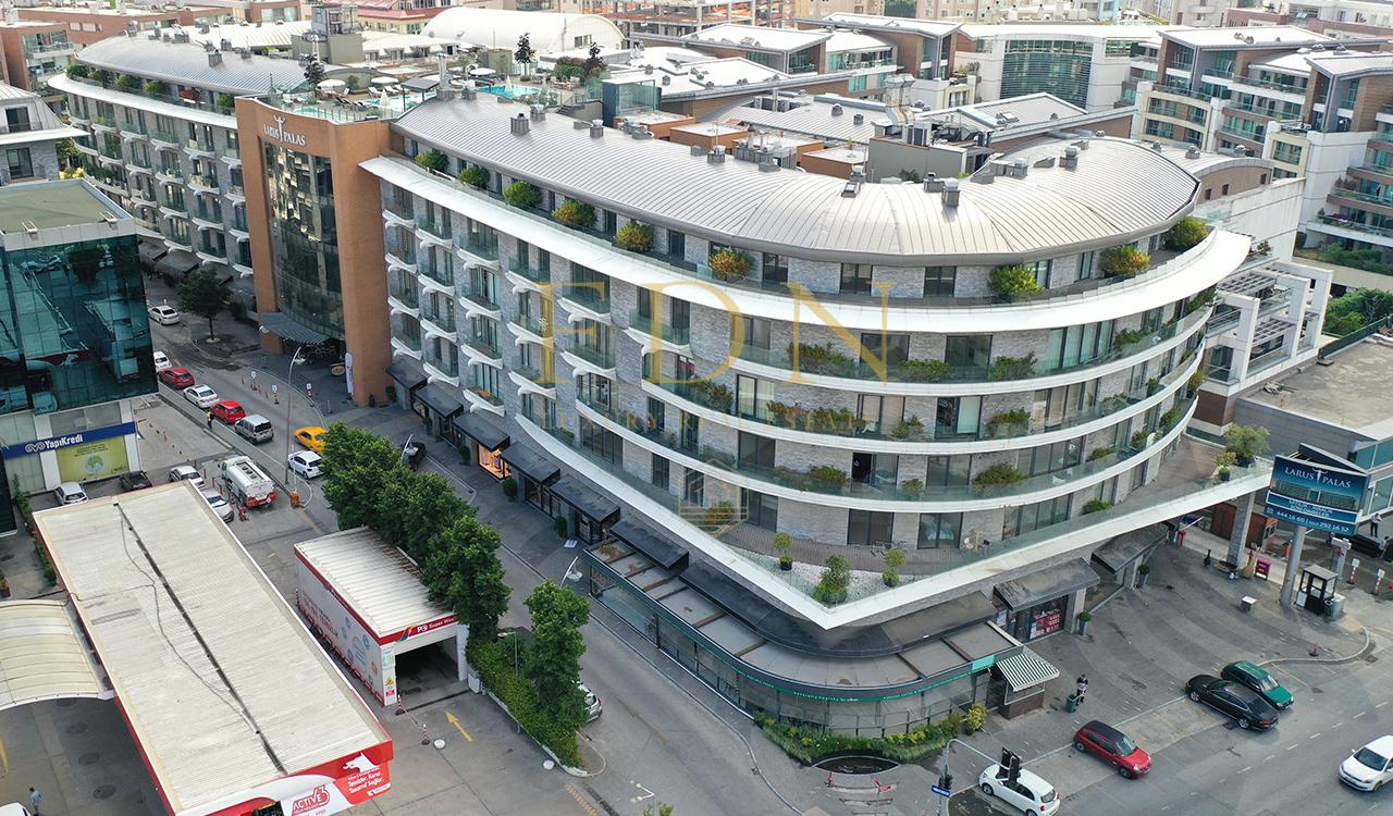 larus-sokak-95829